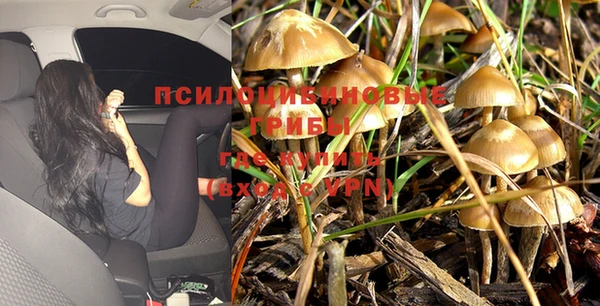 таблы Алексеевка